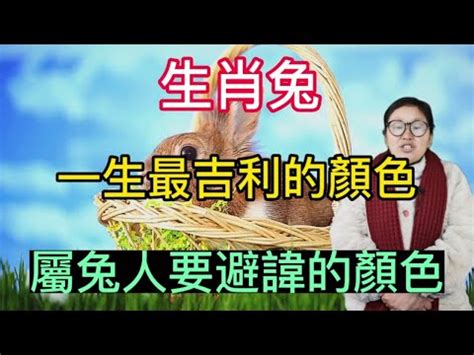 屬兔 幸運色|【屬兔的幸運色】兔年招財好運色「搶先看」！屬兔的幸運色大公。